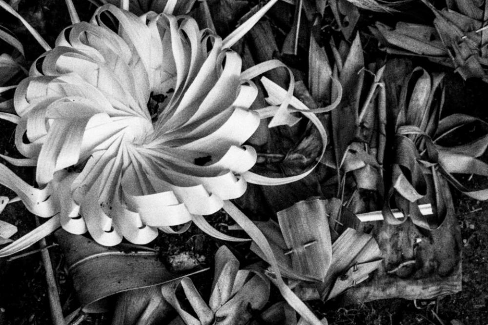 Monochrome Bali Black White 01310